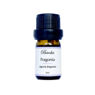 芳枸葉精油 Fragonia Essential Oil